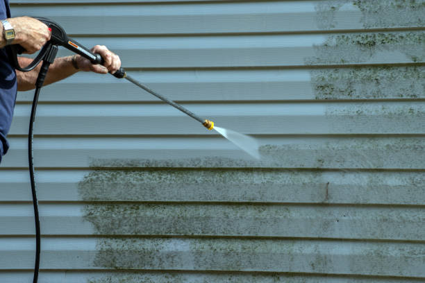 Best Exterior Home Cleaning  in Mayflower, AR