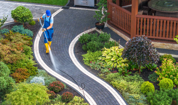 Best Sidewalk Pressure Washing  in Mayflower, AR