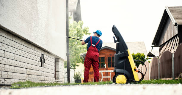 Best Exterior Home Cleaning  in Mayflower, AR